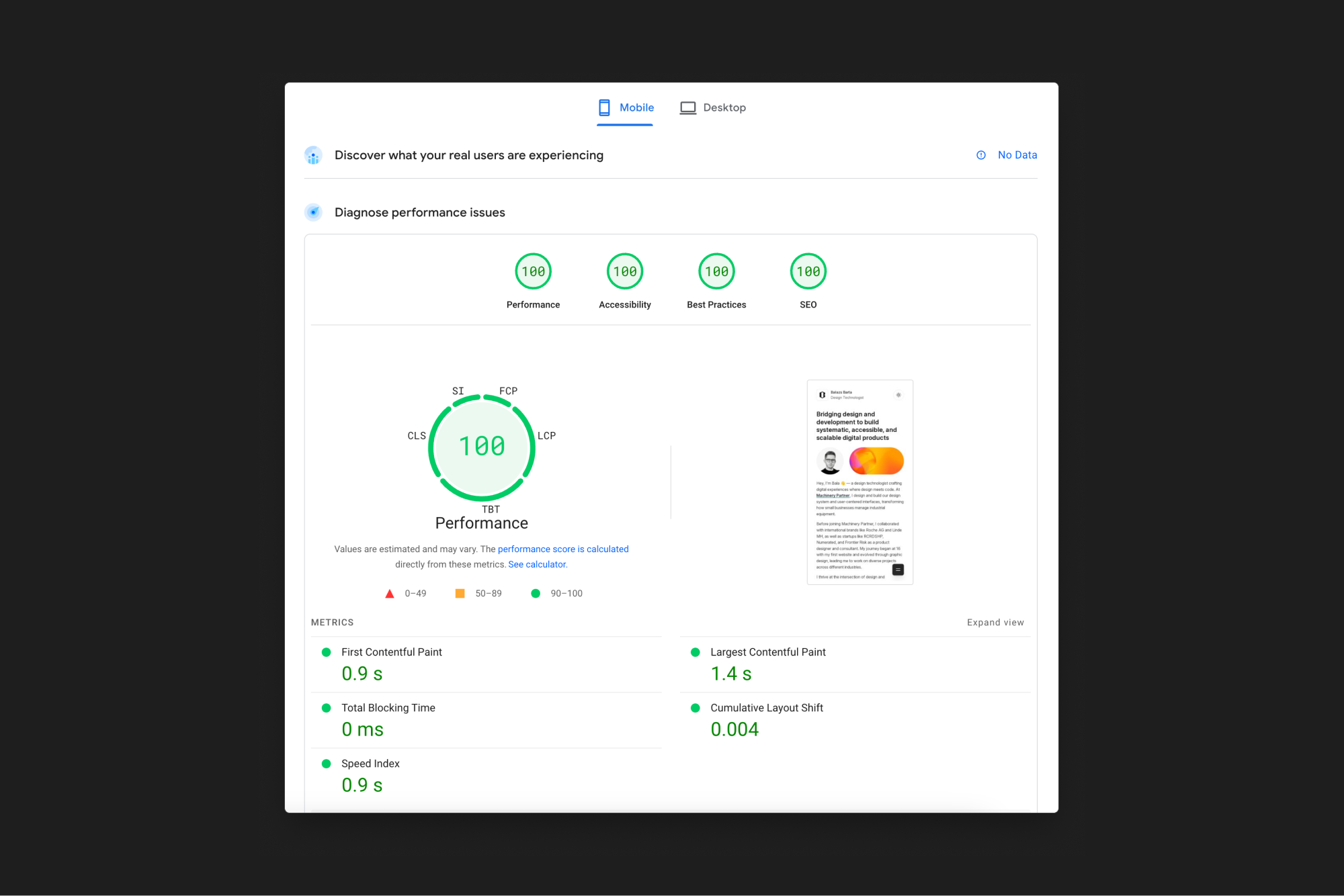 PageSpeed performance results showing perfect scores and blazing-fast load times